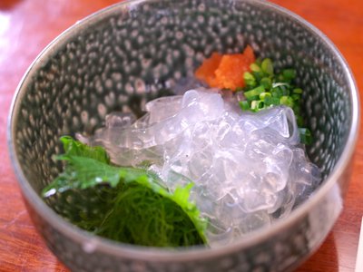 Japanese Conger