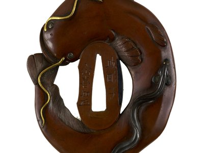 Japanese Eel Catfish