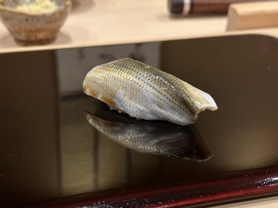Japanese Gizzard Shad