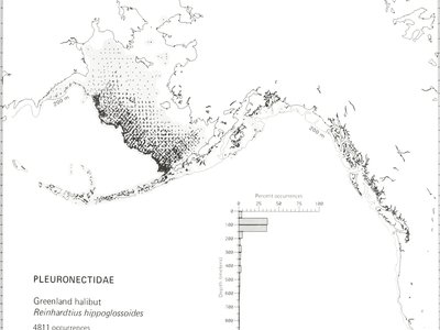 Japanese Greenland Halibut