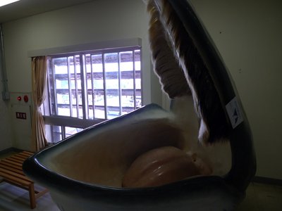 Japanese Minke Whale