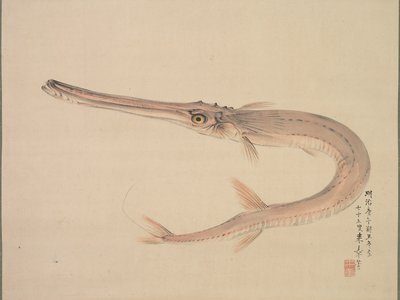 Japanese Needlefish