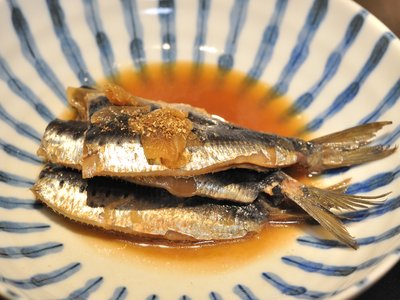 Japanese Sardine