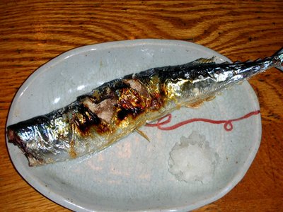 Japanese Saury