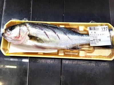 Japanese Seabass
