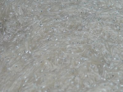 Juvenile Sardine