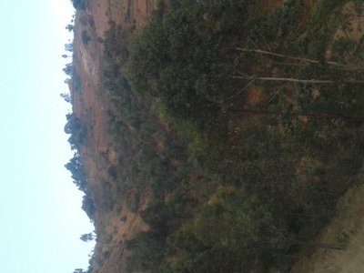 Kabarore