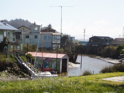 King Salmon