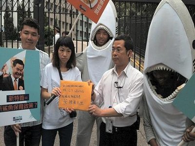 Kong Shark