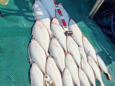Korean Halibut