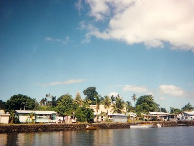 Kubuna