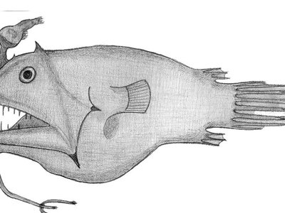 Linophryne argyresca
