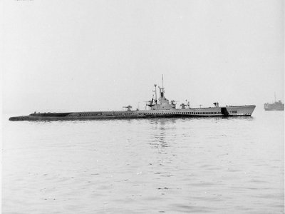 Marion Scabbardfish