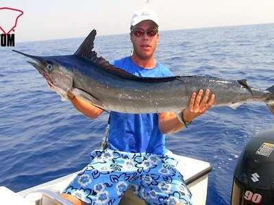Mediterranean Spearfish