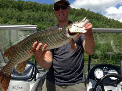 Muskellunge Pike
