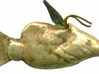 Niles catfish