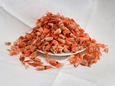 Northern Prawn