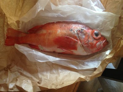 Norway Haddock