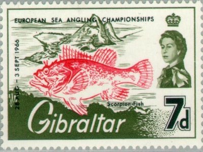 Olive Scorpionfish