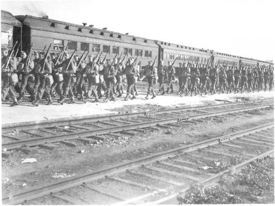 Pacific Grenadier