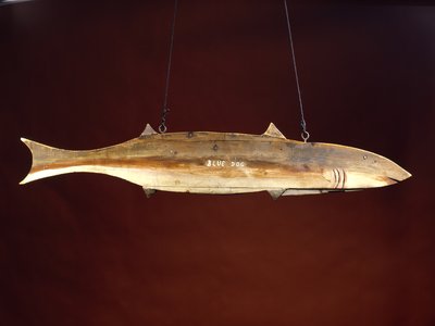 Painted Cat Shark
