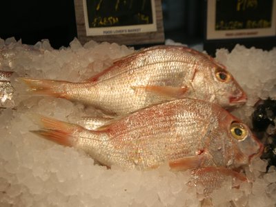 Panga