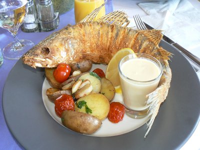 Pikeperch