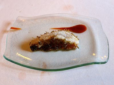 Red razorfish