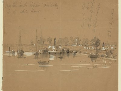 River pilchard