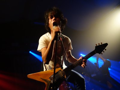 Rock eel