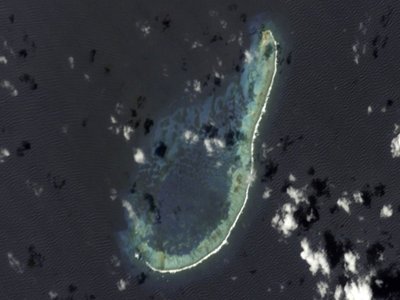 Roncador