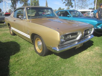 Round barracuda
