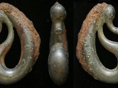 Round Head Seahorse