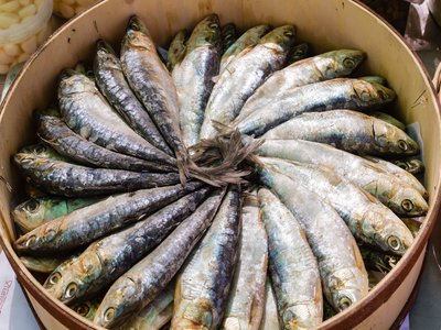 Sardine