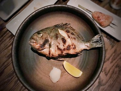 Sea Bream