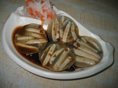 Sipunculid Worm
