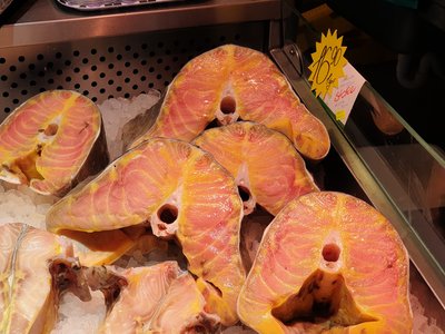 Sturgeon