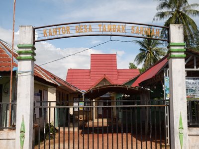 Tambak