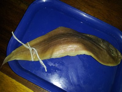 Tongue Sole