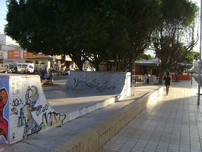 Vargas Skate