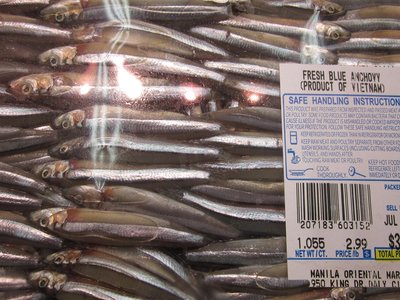 Vietnamese Anchovy