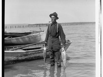 Vietnamese Shad