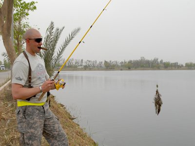 Vietnamese Tiger Catfish