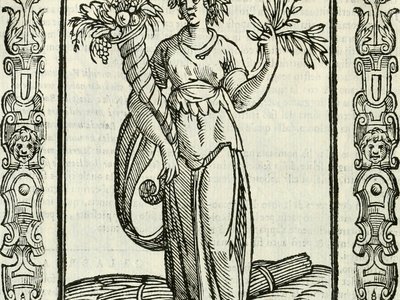 Vini Sole
