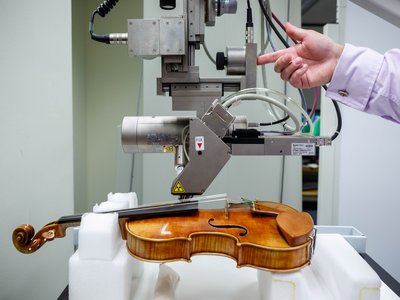 Violin Ray