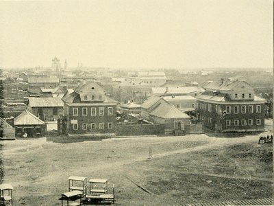 Volga Sterlet