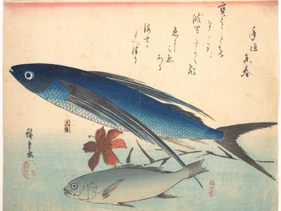 White Croaker