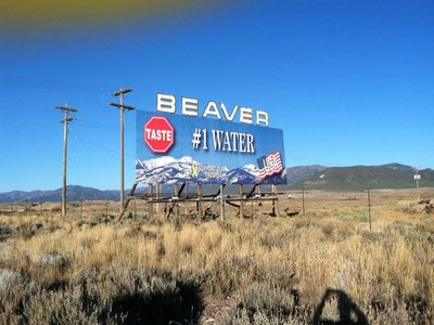 Beaver