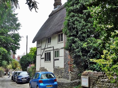 English Cottage Mouse
