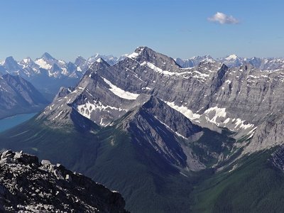 International Mountain Goat